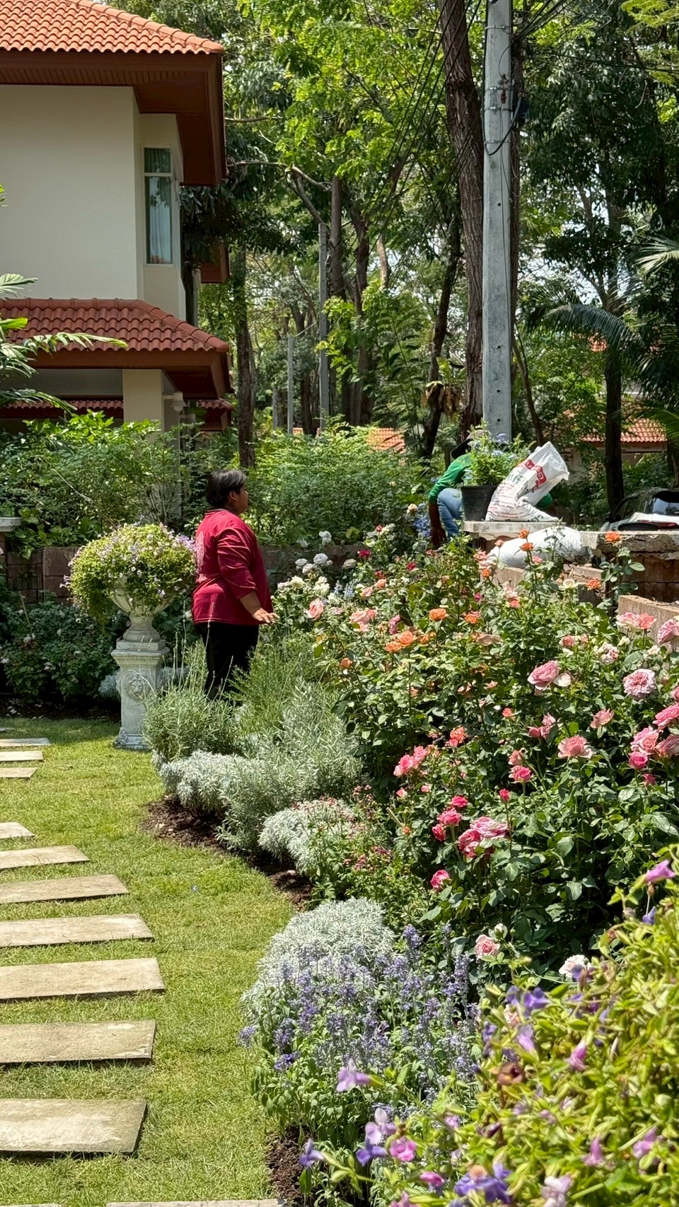 nontaburi_2 project detail 18